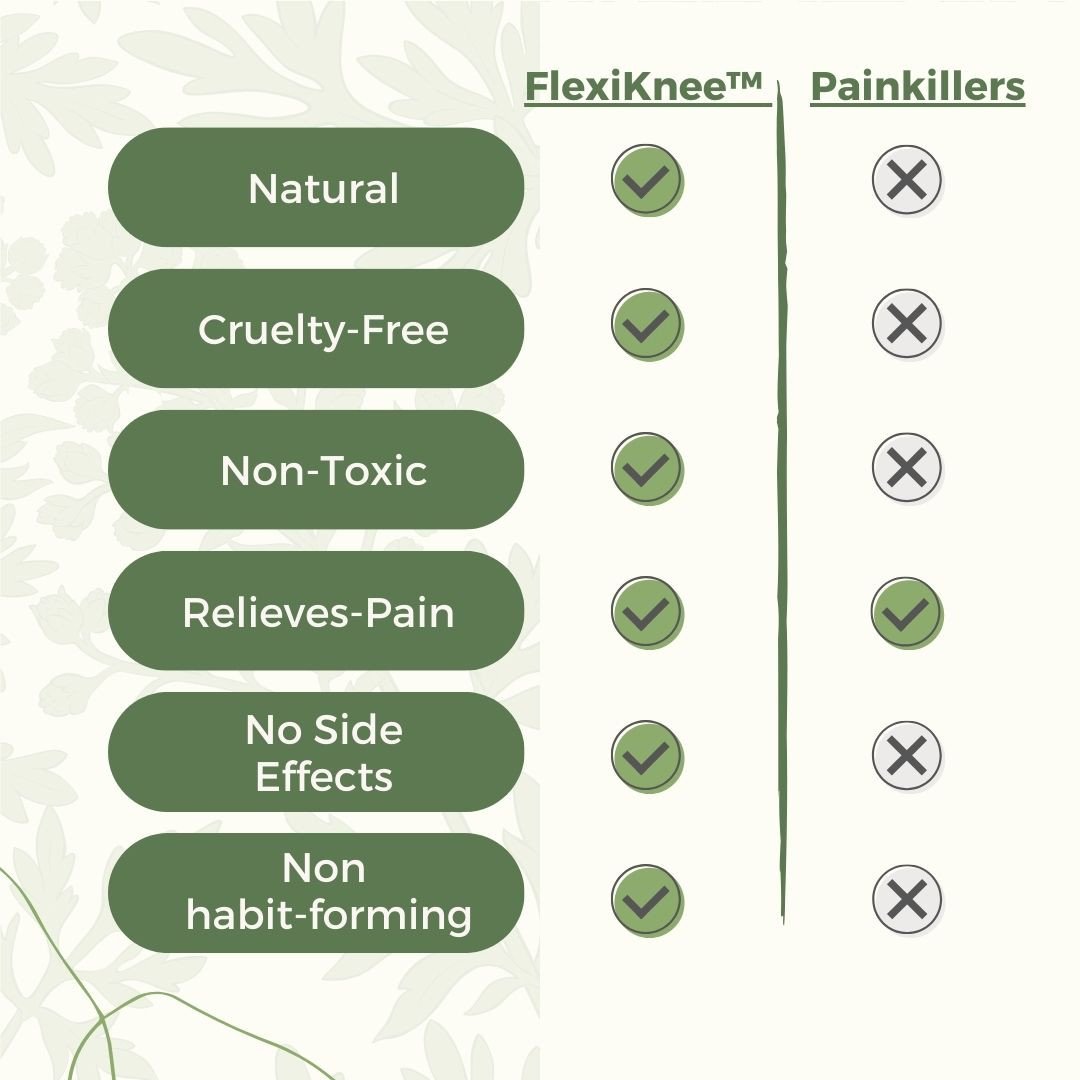 Wellnee - Natural Back Pain Patches