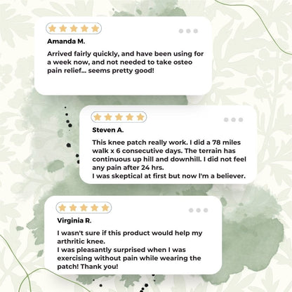 Wellnee - Natural Back Pain Patches