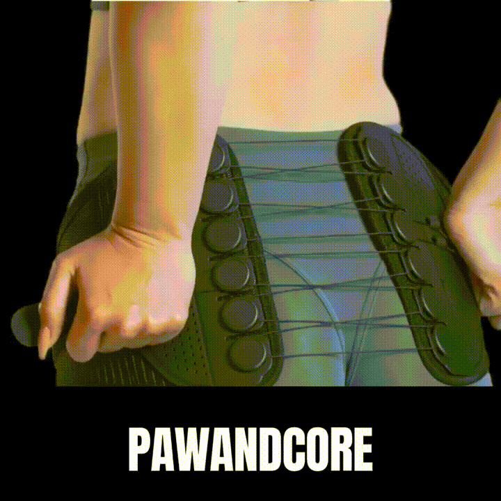 PawandCore Belt