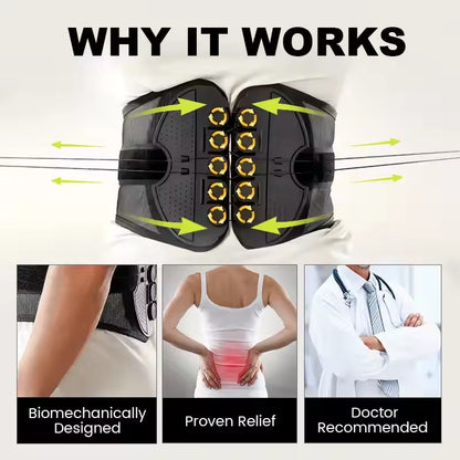 PawandCore Belt